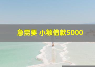 急需要 小额借款5000